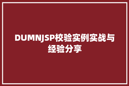 DUMNJSP校验实例实战与经验分享