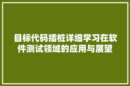 目标代码插桩详细学习在软件测试领域的应用与展望