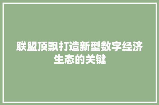联盟顶飘打造新型数字经济生态的关键