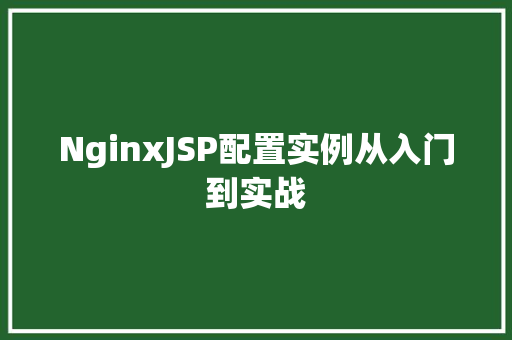 NginxJSP配置实例从入门到实战 第1张 NginxJSP配置实例从入门到实战 第1张