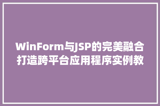 WinForm与JSP的完美融合打造跨平台应用程序实例教程