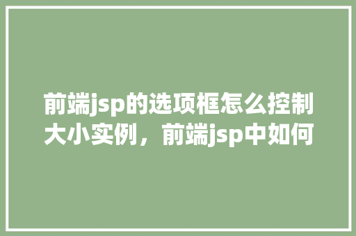 前端jsp的选项框怎么控制大小实例，前端jsp中如何调整选项框大小的实例讲解  第1张