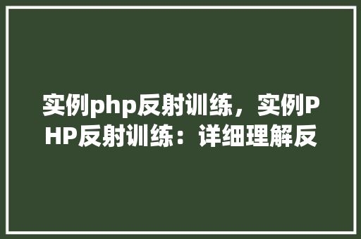 实例php反射训练，实例PHP反射训练：详细理解反射机制实战例子