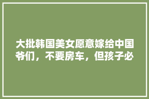 5E陀螺探索创新教育领域的璀璨明珠  第1张