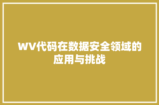 WV代码在数据安全领域的应用与挑战