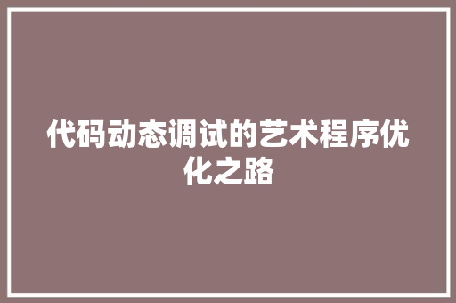 代码动态调试的艺术程序优化之路
