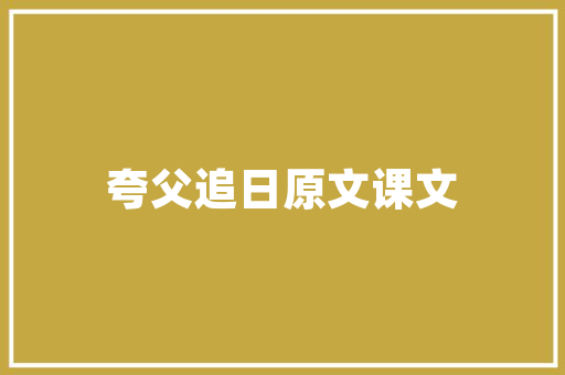 企业物资代码企业高效管理的秘密武器