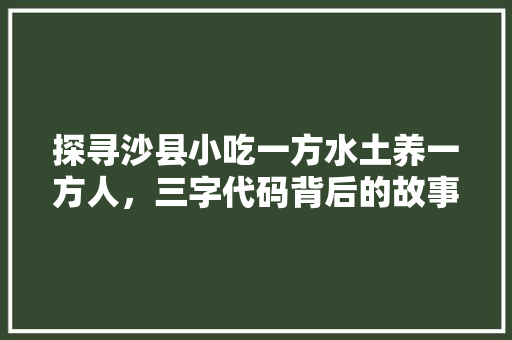 探寻沙县小吃一方水土养一方人，三字代码背后的故事