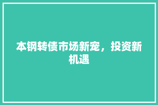 本钢转债市场新宠，投资新机遇