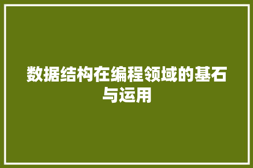 数据结构在编程领域的基石与运用
