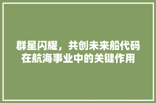 群星闪耀，共创未来船代码在航海事业中的关键作用