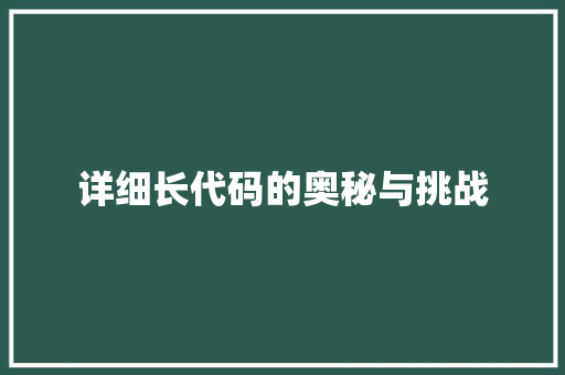 详细长代码的奥秘与挑战