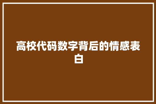 高校代码数字背后的情感表白