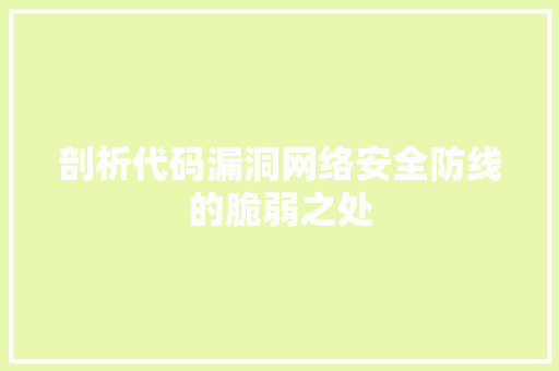 剖析代码漏洞网络安全防线的脆弱之处  第1张