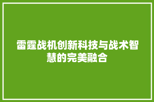 雷霆战机创新科技与战术智慧的完美融合