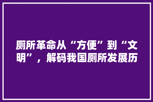 厕所革命从“方便”到“文明”，解码我国厕所发展历程