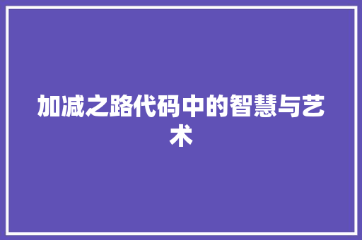 加减之路代码中的智慧与艺术