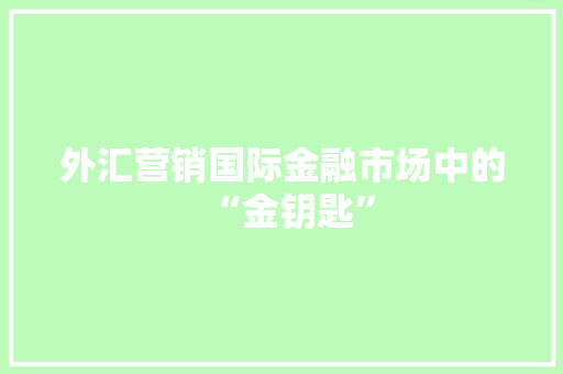 外汇营销国际金融市场中的“金钥匙”