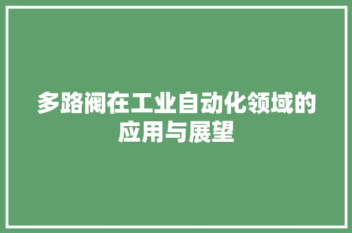 多路阀在工业自动化领域的应用与展望