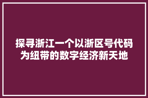 探寻浙江一个以浙区号代码为纽带的数字经济新天地