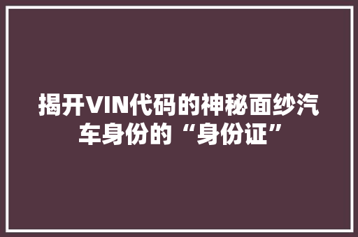揭开VIN代码的神秘面纱汽车身份的“身份证”
