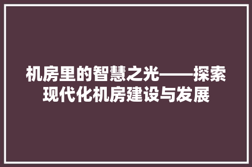 机房里的智慧之光——探索现代化机房建设与发展