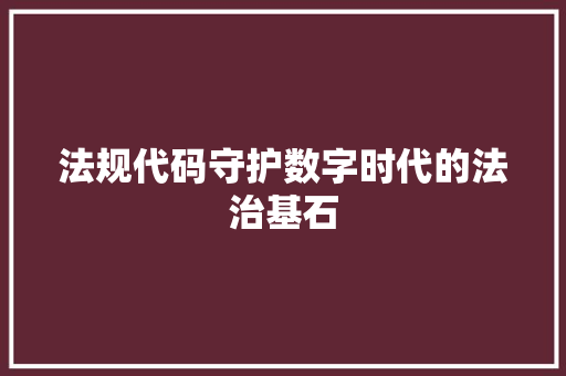 法规代码守护数字时代的法治基石