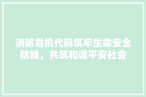 消防危机代码筑牢生命安全防线，共筑和谐平安社会