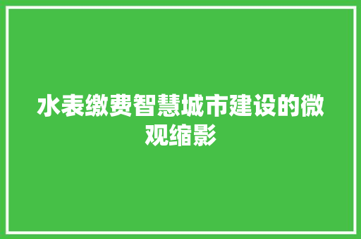 水表缴费智慧城市建设的微观缩影