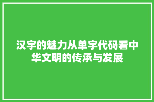 汉字的魅力从单字代码看中华文明的传承与发展