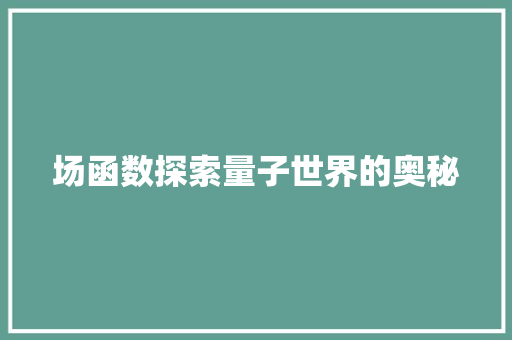 场函数探索量子世界的奥秘