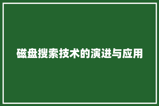 磁盘搜索技术的演进与应用