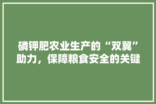 磷钾肥农业生产的“双翼”助力，保障粮食安全的关键因素