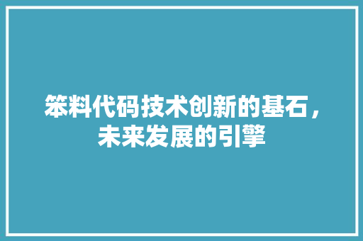 笨料代码技术创新的基石，未来发展的引擎