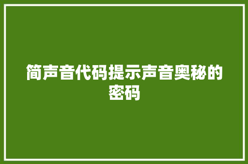 简声音代码提示声音奥秘的密码
