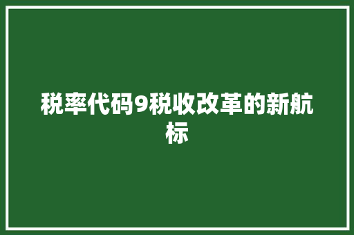 税率代码9税收改革的新航标