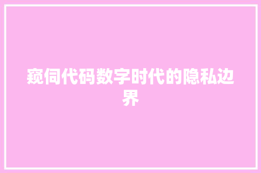 窥伺代码数字时代的隐私边界