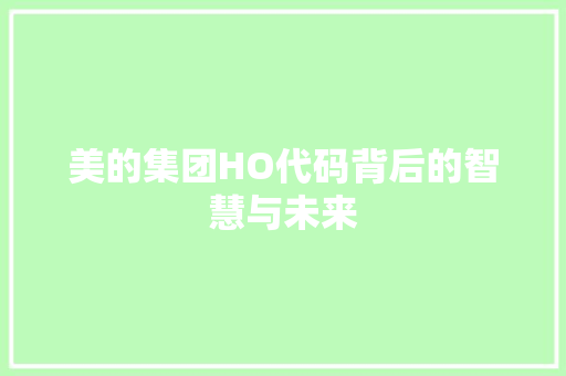 美的集团HO代码背后的智慧与未来