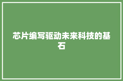 芯片编写驱动未来科技的基石