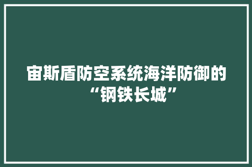 宙斯盾防空系统海洋防御的“钢铁长城”