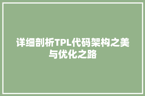 详细剖析TPL代码架构之美与优化之路  第1张