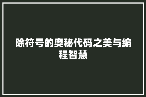 除符号的奥秘代码之美与编程智慧