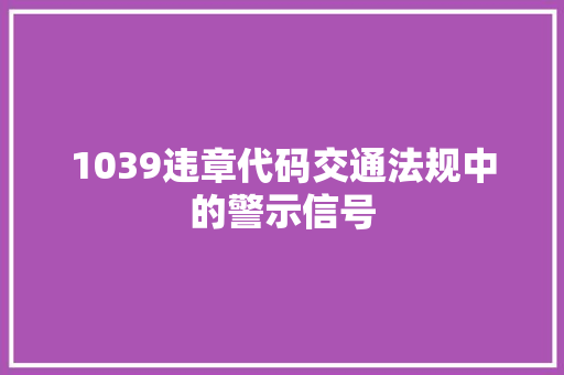 1039违章代码交通法规中的警示信号