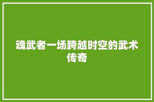 魂武者一场跨越时空的武术传奇