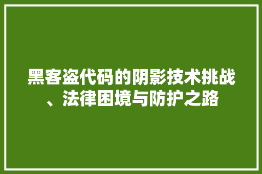 黑客盗代码的阴影技术挑战、法律困境与防护之路