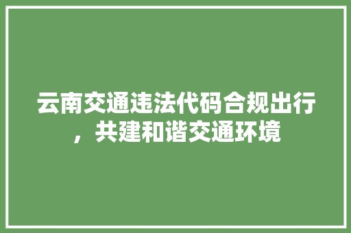 云南交通违法代码合规出行，共建和谐交通环境