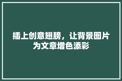 插上创意翅膀，让背景图片为文章增色添彩