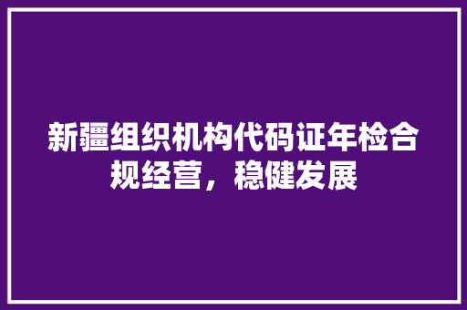 新疆组织机构代码证年检合规经营，稳健发展