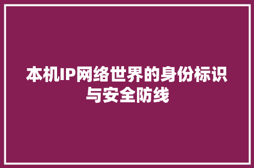 本机IP网络世界的身份标识与安全防线  第1张