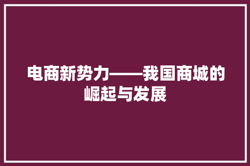 电商新势力——我国商城的崛起与发展